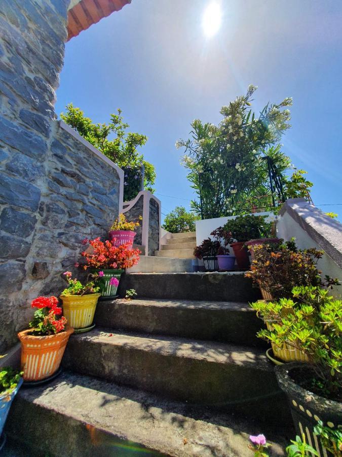 Casa Velha D Fernando E Casa Avo Augusta Hotel Ribeira Brava Eksteriør billede